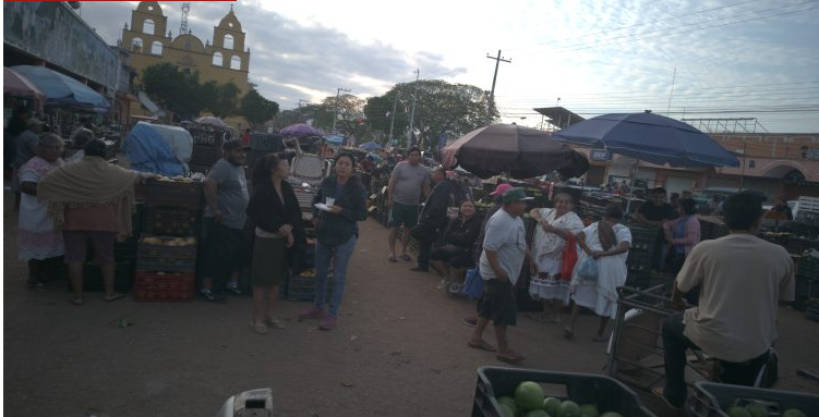 Yucatán: Los bajos precios que registra el limón en el sur, afecta a otros sectores