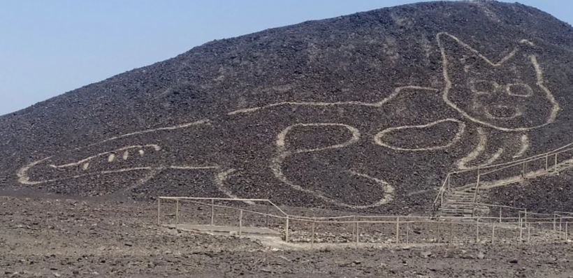 Descubren geoglifo de gato de 37 metros en Pampa de Nazca, Perú