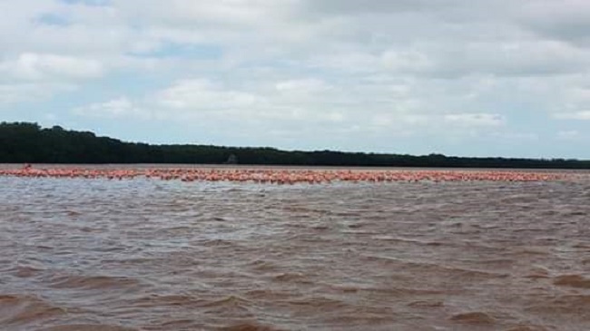 Cultur: Vacaciona y encántate sin salir de Yucatán