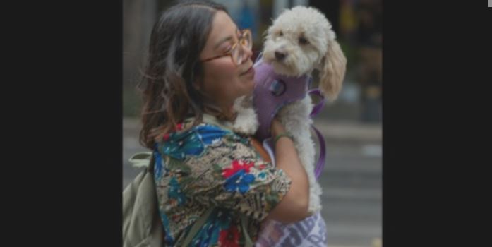 Perros muestran mayor sensibilidad cerebral cuando escuchan voces femeninas