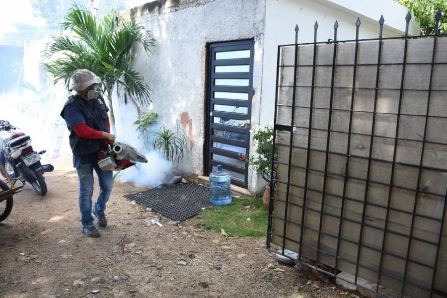 Refuerza SSY el combate contra el dengue en Yucatán