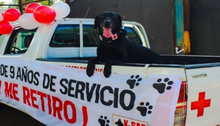 Despiden con honores a labrador que se jubiló de la Cruz Roja ¡Muchas gracias Kurt!