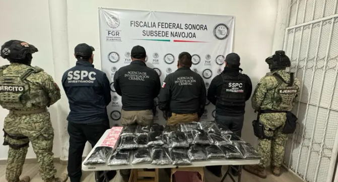 Localizan 275 mil pastillas de fentanilo ocultas entre nopales de Sonora