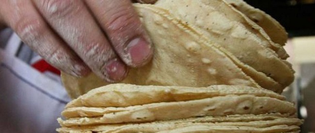 Yucatán: Advierten sobre posible aumento en el precio del kilo de tortilla