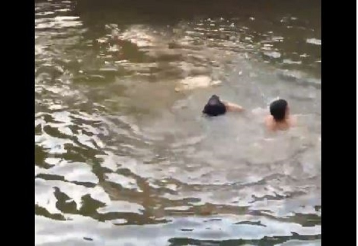 (VIDEO) ¡Hermoso! 'Salva' a su amo que fingió que se ahogaba