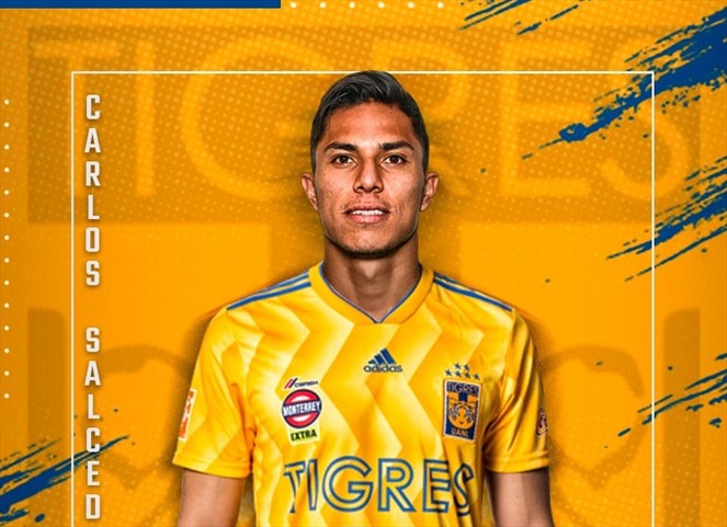 Carlos Salcedo dejaría a los Tigres