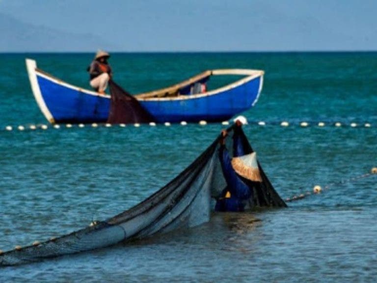 Capturan en el mar extraña criatura albina y con un solo ojo