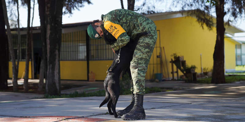 "Perritos de Santa Lucía", albergue para callejeros construido por militares por el nuevo aeropuerto