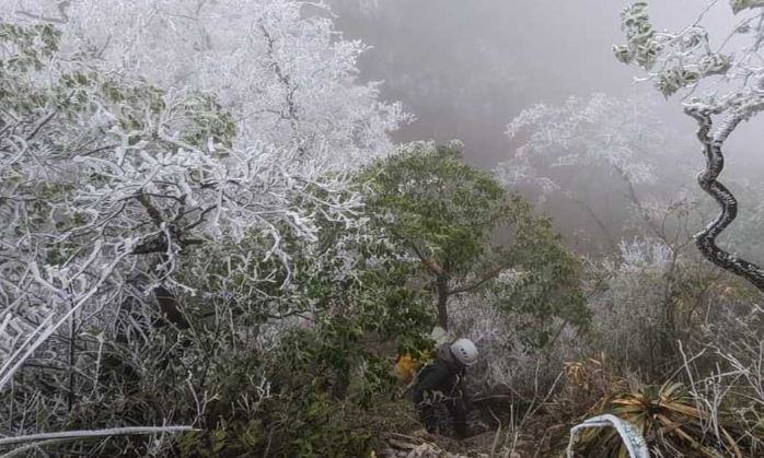 ¡Tiempo raro! Cae nieve en Nuevo León a horas de que llegue la primavera