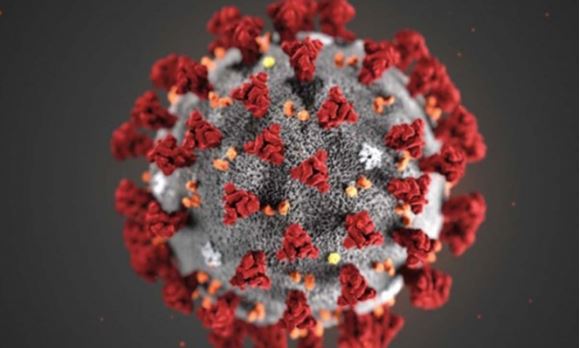 OMS desmiente un mito: El calor no mata al coronavirus