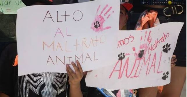 (VÍDEO) Marcha contra el maltrato animal en CDMX