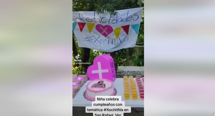 Ni Barbie ni princesa... Niña prefirió festejar su cumple con temade  ¡XóchitlVa!