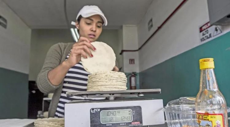 AMLO importaría maíz para "bajar precio de la tortilla"