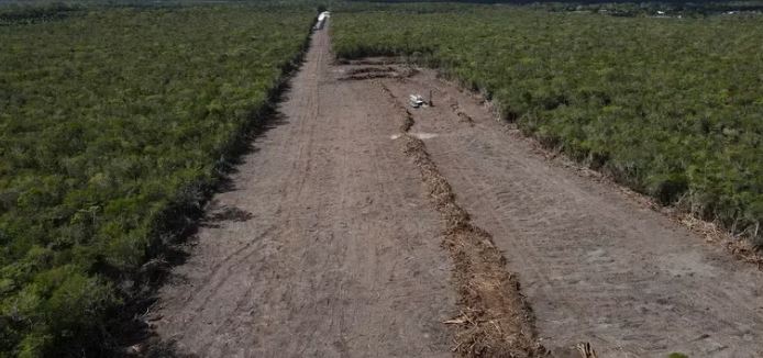 MC acusó al gobierno federal ante la CIDH por desacatar amparos contra el Tren Maya