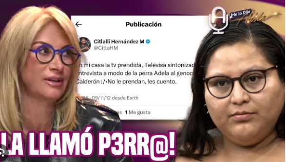 (VÍDEO) Cuando Adela Micha fue atacada por Citlalli Hernández: ¡La llamó perra perra!