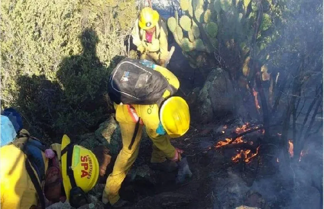 Afecta fuego 2,990 hectáreas en Baja California