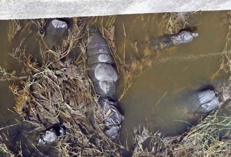 Suman 19 las bolsas con restos humanos halladas en un canal de Jalisco