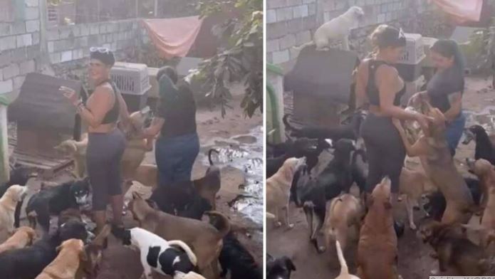 (VÍDEO) Acusan a Niurka de adoptar perros para sacrificarlos en ritos de santería