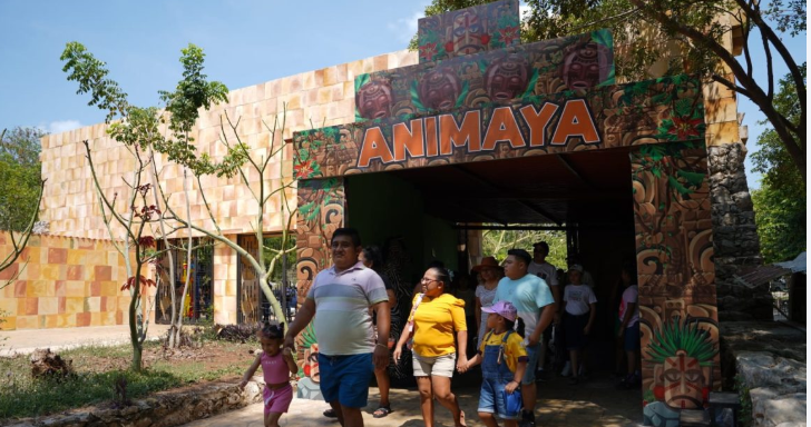 Animaya festeja su 15 aniversario en compañía de cientos de niños y niñas