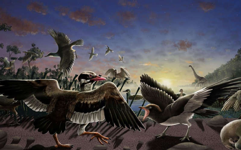 Hallan fósil de ave con barbilla móvil en China; vivió con los dinosaurios
