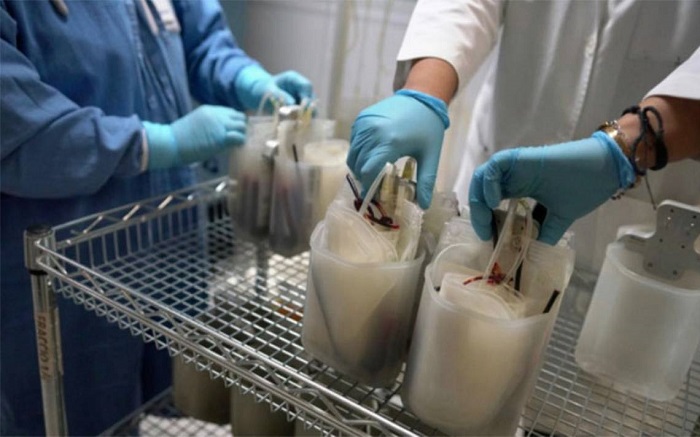Mérida: Piden a pacientes recuperados donen plasma para enfermos de Covid-19