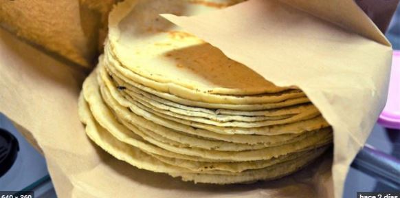 Yucatán: Sube de $20 a $22 pesos el kilo de tortilla