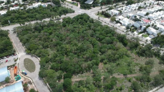 Mérida sufre lo que la CDMX: Una plaga sospechosa de edificios en áreas verdes