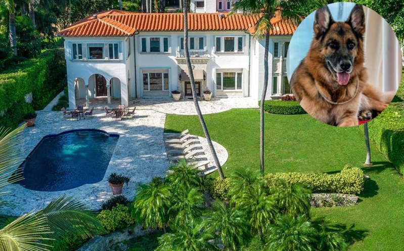 Perro más rico del mundo vende su mansión en Miami ¡Pide 667 millones de pesos!