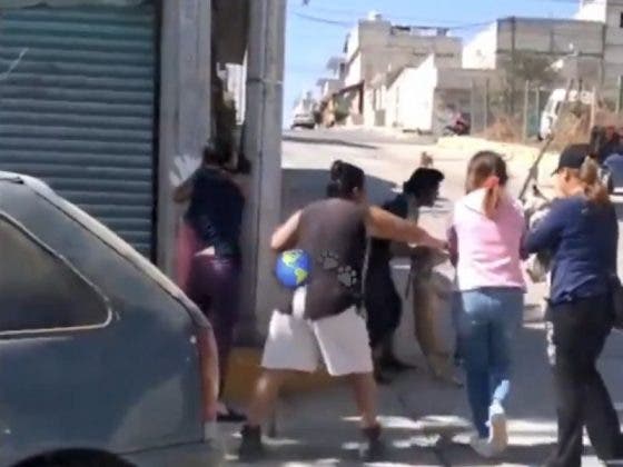 Mujeres golpean brutalmente a un pitbull por morder a un chihuahua