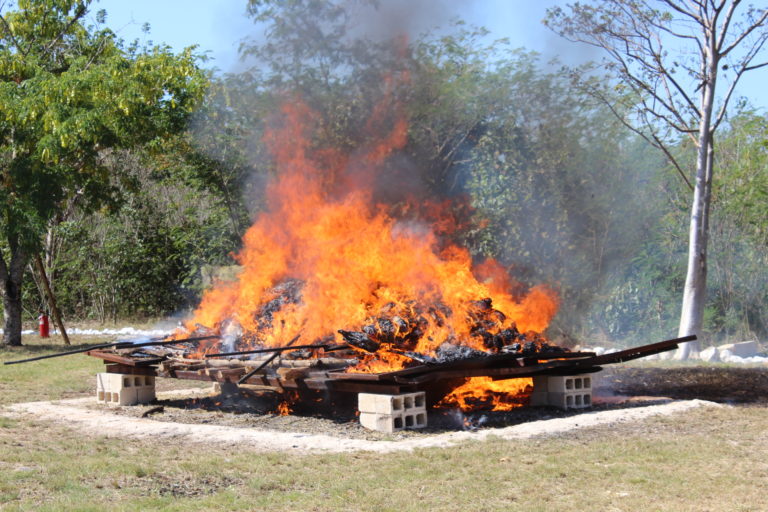 Yucatán: Fiscalía y Sedena incineran más de 190 kilos de droga