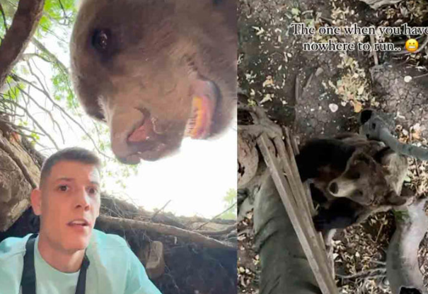 "Influencer" entra a la guarida de un oso y es sorprendido por el animal