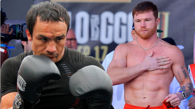 Canelo lo retó, Juan Manuel Márquez le mostró desprecio y nació una rivalidad que crece