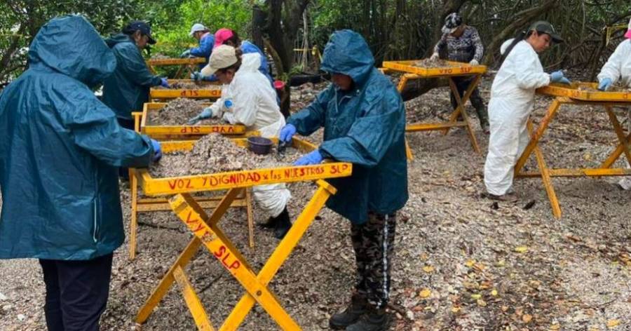 Reportan ola de desapariciones en al menos 15 municipios de San Luis Potosí