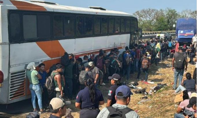 'Polleros' abandonan a 500 migrantes dentro de tres autobuses en Veracruz