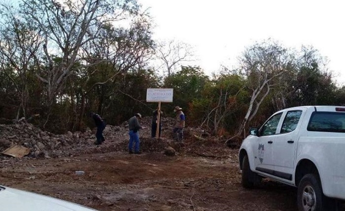 Reserva Cuxtal afectada por tala ilegal y perforación de pozos