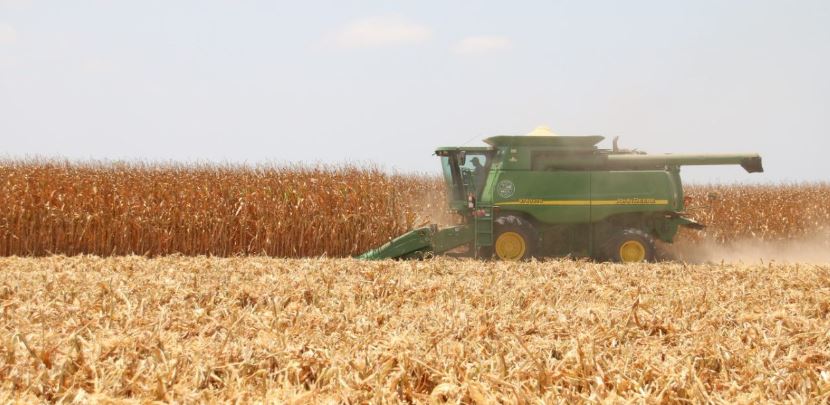 Diputados le quitan 17 mil mdp al campo: ‘La 4T nos dio la espalda’: agricultores