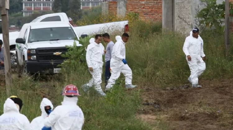 Jalisco hundido en una fosa: suman 323 cadáveres exhumados