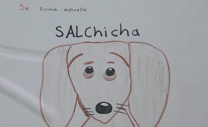 Niño de 11 años busca a su perrita con carteles que él mismo dibujó