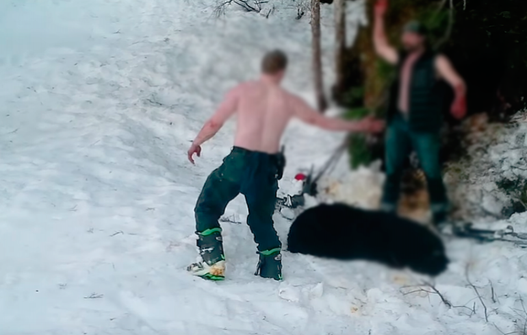 Padre e hijo asesinan a una familia de osos mientras hibernaban