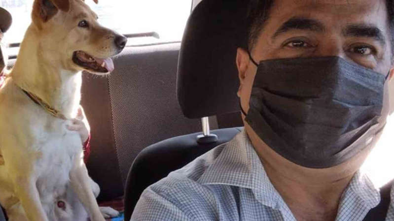 Taxista de CDMX se vuelve viral tras permitir a pasajeros viajar con mascotas