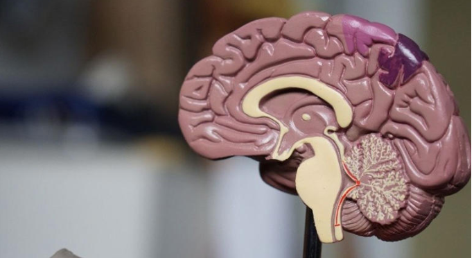 ¿Por qué olvido lo que acabo de aprender? según la psicología