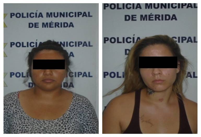 Mérida: Perro policía cumple otra misión: detecta drogas en el ADO