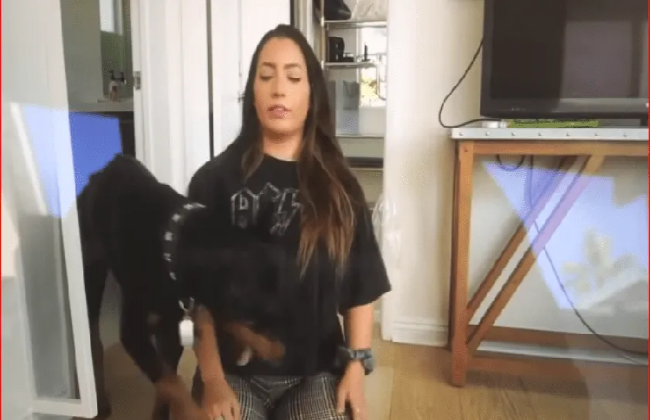 Youtuber Brooke Houts sube por error video donde golpea a su perro