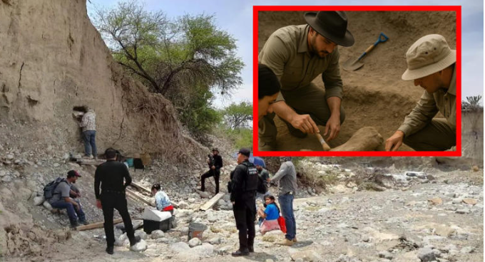 Encuentran en Tamaulipas presuntos restos de mamut