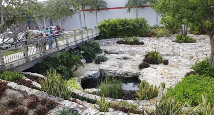 Descubren cenotes y una gruta en zona urbana de Mérida