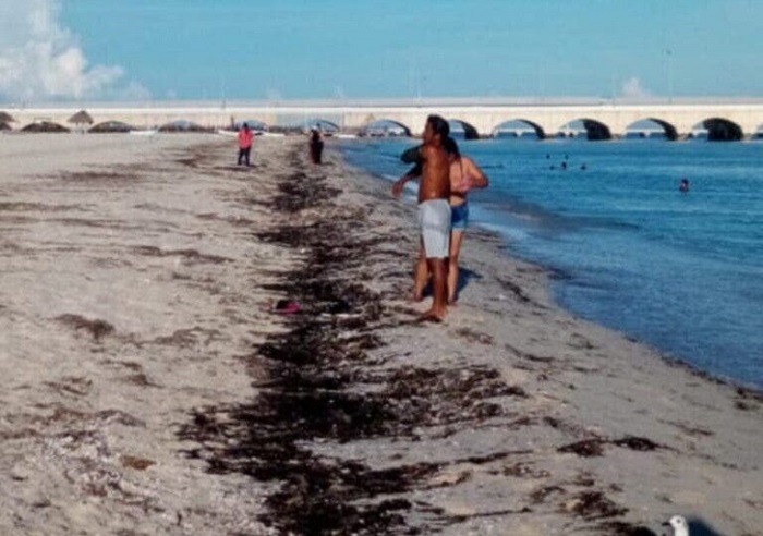 Progreso: Policía desalojó a 40 visitantes de la playa para evitar contagios