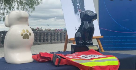 Rinden homenaje a perritos rescatistas asesinados en Querétaro