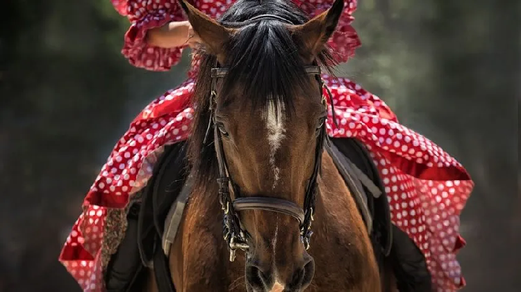 Niña es pateada por caballo en desfile de la Revolución Mexicana