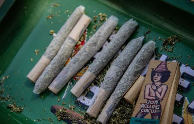 Legalización de la mariguana cumple 1 año en la “congeladora”