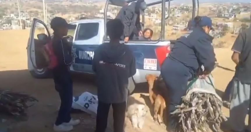 (Video) Oaxaca: Policías detienen a dos mujeres sólo por recoger leña